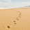 Spuren im Sand